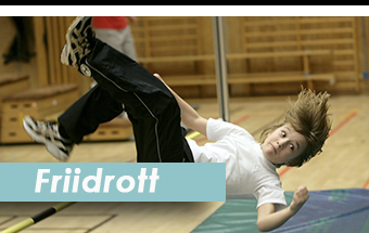 Multi Sport Camp